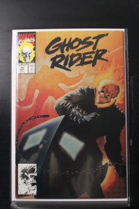 Ghost Rider #13 Direct Edition (1991)
