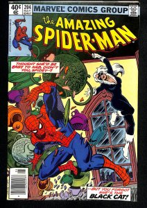 The Amazing Spider-Man #204 (1980)