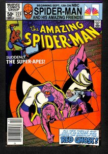The Amazing Spider-Man #223 (1981)