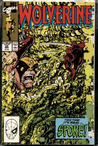 Wolverine #22 (1990) Wolverine