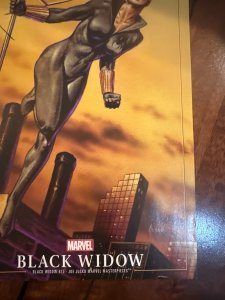 Black Widow #12 Variant Cover (2021)