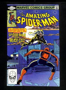 Amazing Spider-Man #227 Black Cat!