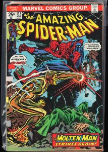 The Amazing Spider-Man #132 (1974) Spider-Man