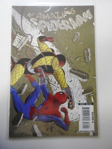 The Amazing Spider-Man #579 (2009)