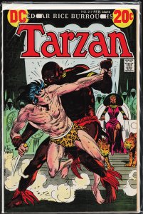 Edgar Rice Burroughs' Tarzan #217 (1973)