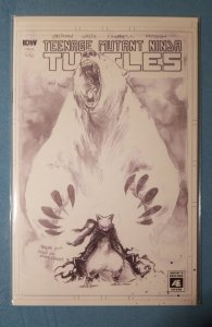 Teenage Mutant Ninja Turtles #66 Cover B Variant (2017) nm+