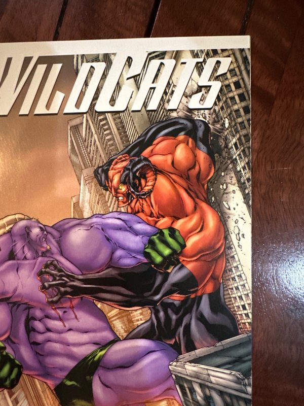 WildCats #7 (2009)