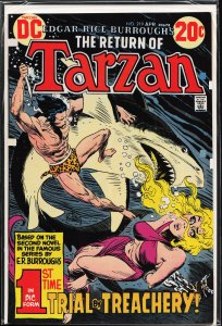 Edgar Rice Burroughs' Tarzan #219 (1973)