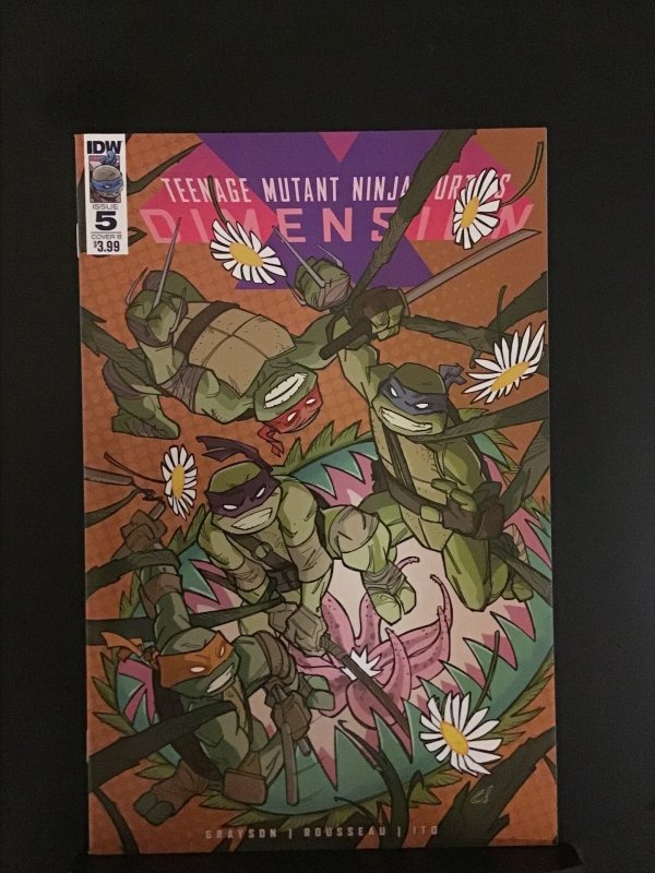 Teenage Mutant Ninja Turtles: Dimension X #5 Cover B (2017)