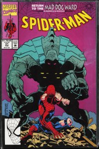 Spider-Man #31 (1993) Spider-Man