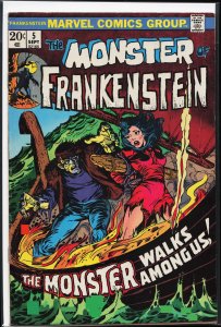 The Frankenstein Monster #5 (1973) Frankenstein Monster