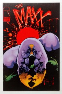 The Maxx #1 (1993)