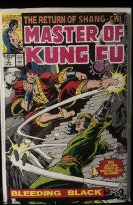 Master of Kung Fu: Bleeding Black (1991)