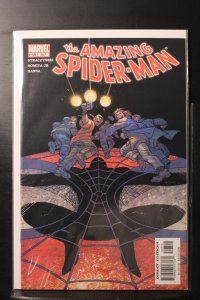 The Amazing Spider-Man #507 (2004)