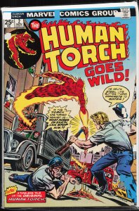 The Human Torch #2 (1974) Human Torch