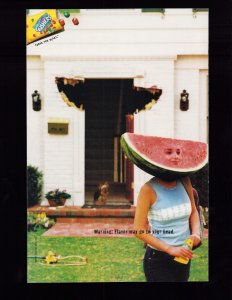 Daredevil #19 Direct Edition SIGNED (8.5) 2001