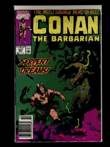 Conan the Barbarian #231,232,233,234,235,236,237,243,244,245 (1990)