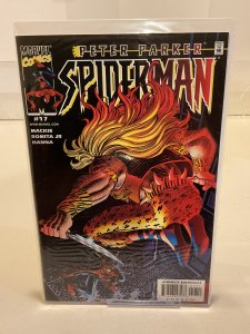 Peter Parker: Spider-Man #17  2000  9.0 (our highest grade)