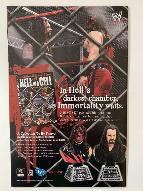 Green Arrow/Black Canary #13 (2008)