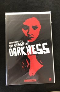 You Promised Me Darkness #1 Cover B (2021)