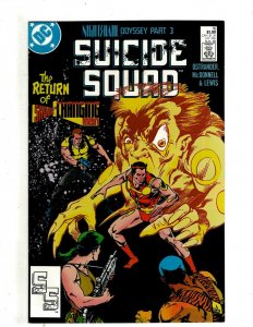 12 Suicide Squad DC Comics # 11 12 13 14 15 16 17 18 19 20 21 22 Batman HG3