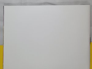 Catwoman #1 Blank Sketch Variant 2018 DC Comics