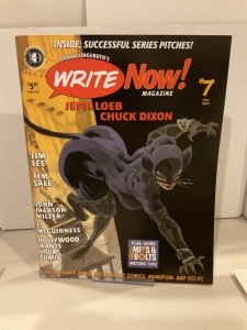 Write Now! (Magazine) #7  Danny Fingeroth!  Tim Sale!