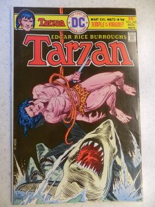 TARZAN # 243 DC JUNGLE ACTION ADVENTURE KUBERT ART BURROUGHS