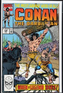 Conan the Barbarian #238 (1990) Conan