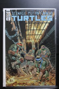 Teenage Mutant Ninja Turtles #103 Cover RI (2020)