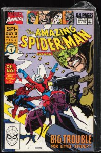 The Amazing Spider-Man Annual #24 (1990) Spider-Man