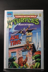 Teenage Mutant Ninja Turtles Adventures #22 (1991)
