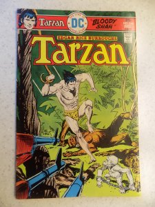 TARZAN # 244 DC SUB CREASE JUNGLE ACTION ADVENTURE KUBERT ART BURROUGHS
