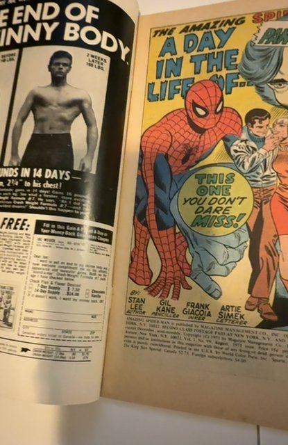 The Amazing Spider-Man #99 (1971)Panic in the Prison