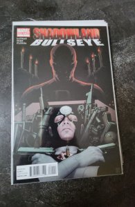 Shadowland: Bullseye (2010)