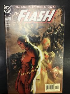 The Flash #210 (2004)nm