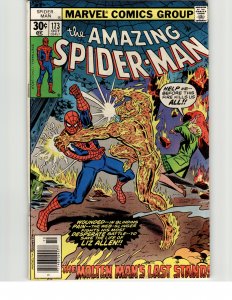 The Amazing Spider-Man #173 (1977) Spider-Man