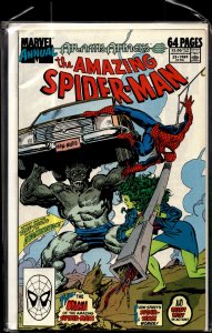 The Amazing Spider-Man Annual #23 (1989) Spider-Man
