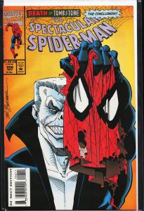 The Spectacular Spider-Man #206 (1993) Spider-Man