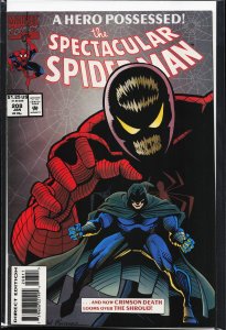 The Spectacular Spider-Man #208 (1994) Spider-Man