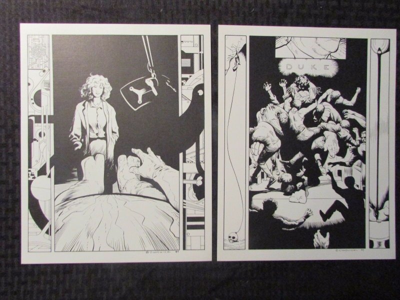 1989 Paul Chadwick's CONCRETE Portfolio w/ (6) Prints VF in VG Envelope