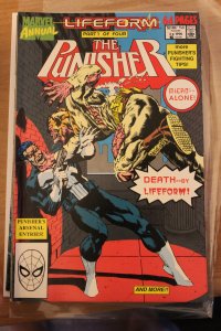 The Punisher  Annual 3 NM