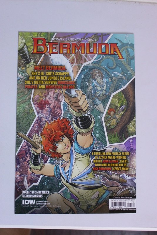 Teenage Mutant Ninja Turtles #119 Cover B (2021) NM