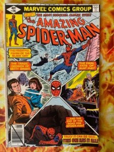 The Amazing Spider-Man #195 (1979)