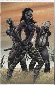 The Walking Dead #19 15th Anniversary Blind Bag Cover C (2018) The Walking De...