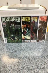 Punisher #1-12 set #8 is variant cover
