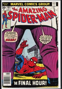 The Amazing Spider-Man #164 (1977) Spider-Man