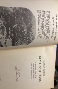 Stair-step-town(Eureka Springs, Arkansas)signed,1952