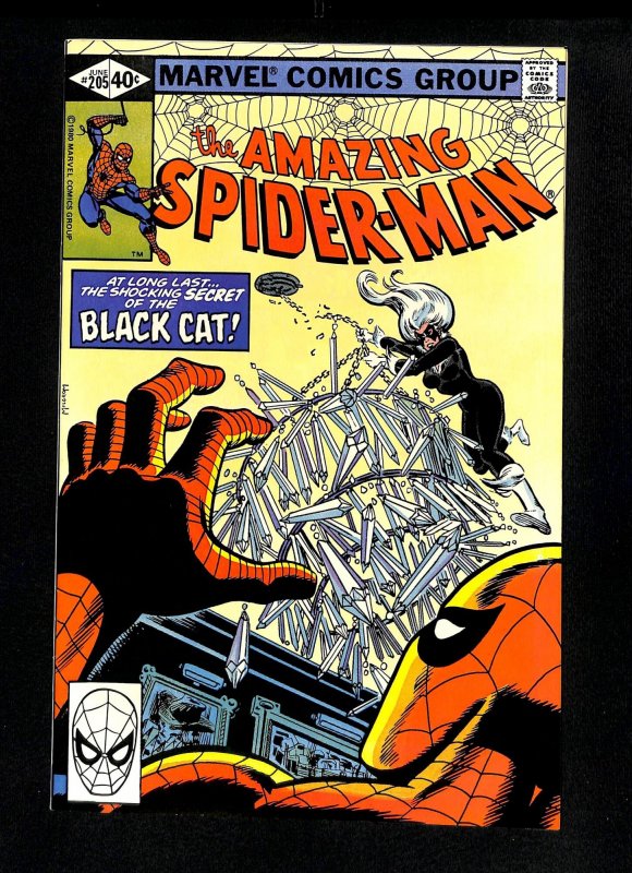 Amazing Spider-Man #205 Black Cat!