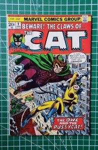 The Cat #2  (1973)